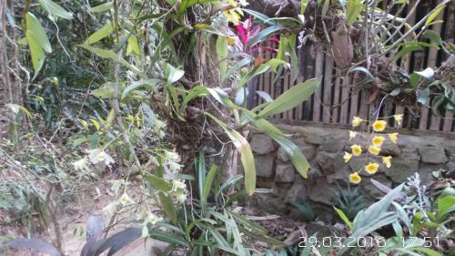 Lodge Nam Lik Eco Village