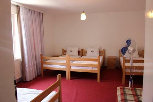 Hostel Bushati