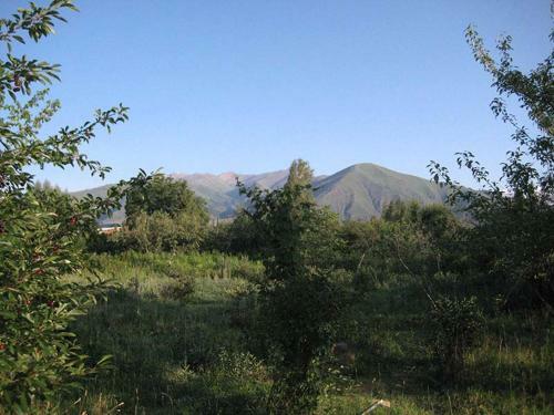Bel-zhan Yurt Lodge