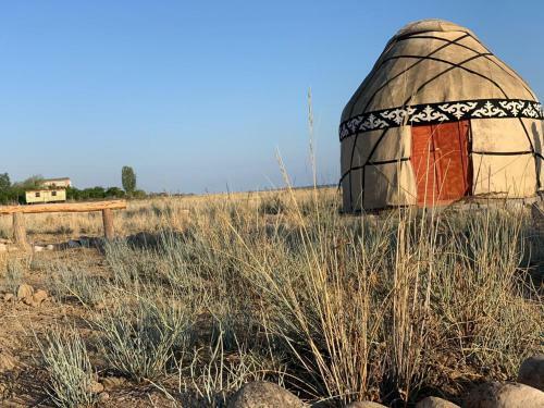 Yurt Camp Sonun