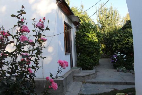 Hostal Tamga Bee House