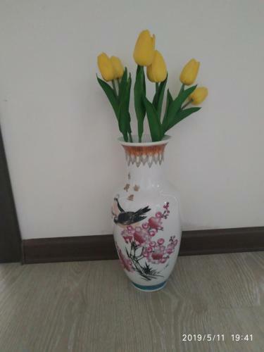 Apart Hotel "chinar"