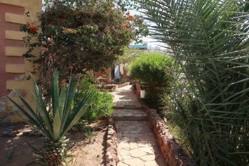 Albergue Bedouin Moon Village - Aqaba