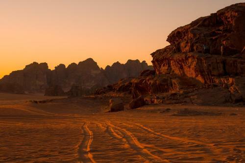 Wadi Rum Green Desert