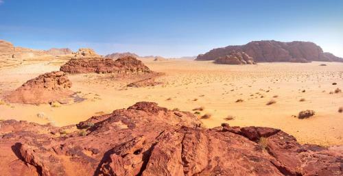 Wadi Rum Green Desert