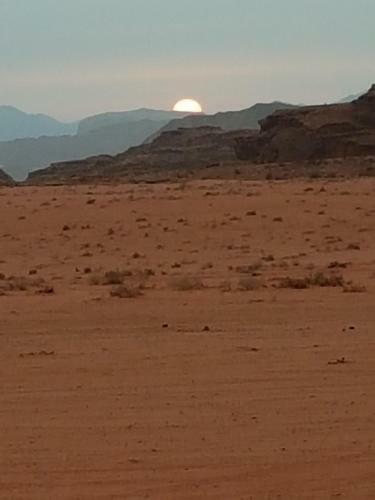 Bedouin Tours Camp