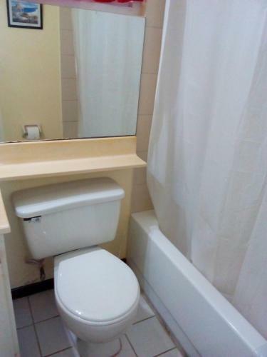Apartamento Cozy 1 Bedroom Apt. New Kingston