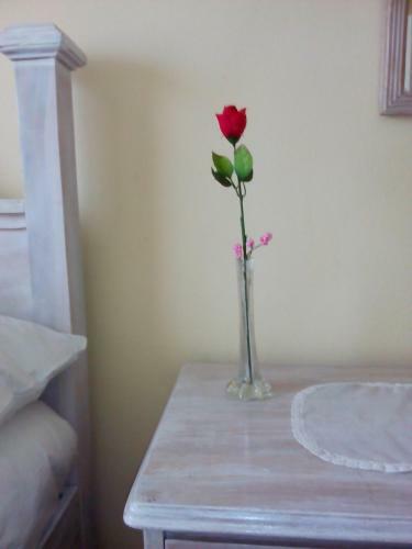 Apartamento Cozy 1 Bedroom Apt. New Kingston