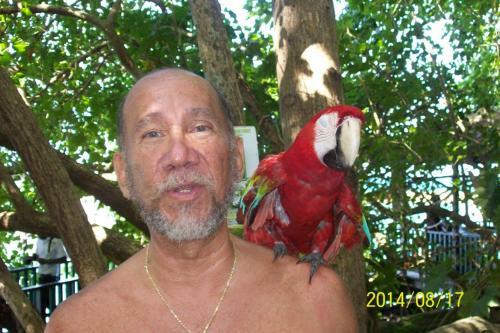 Bed & Breakfast Wataview