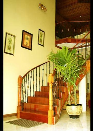 Albergue Mountain Top Villa