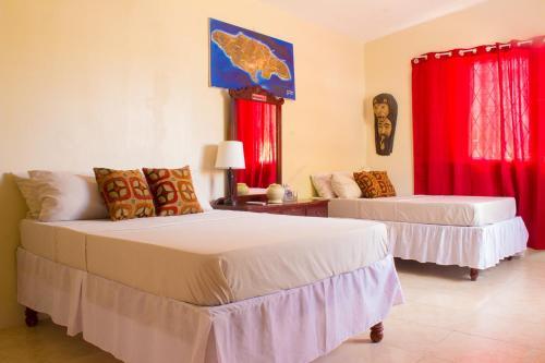 Eventuality B&B New Kingston