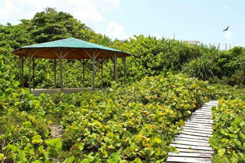Hotel Great Huts: Africana House