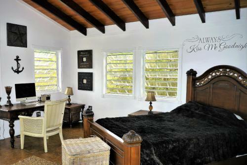 Villa The Love Palace- Cruz Bay