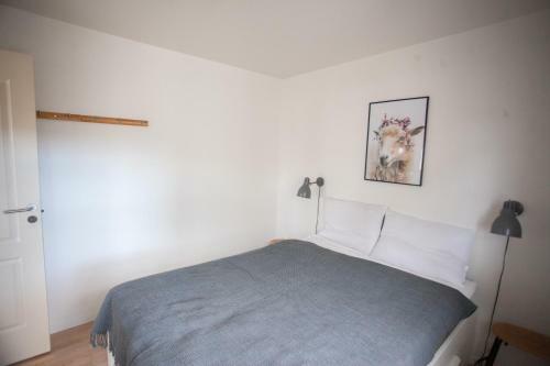 Central Apartment In T�rshavn