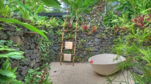 Hotel Paradise Taveuni