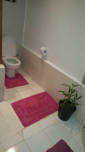 Apartamento The White Self Contained Cottage - Homestay