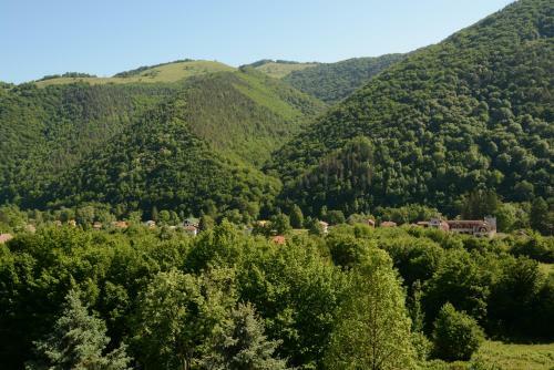 Park Hotel Ribarica