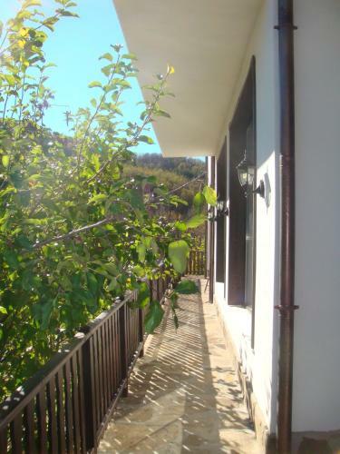 Hostal Family Hotel And Restaurant Plamena