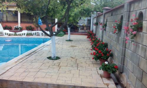 Hotel Sunny Park