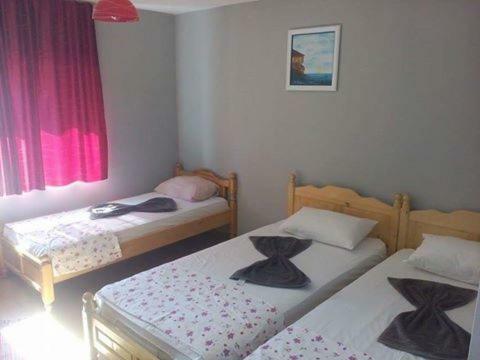 Hostal Draganov House