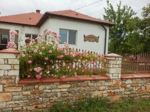 Hostal Draganov House