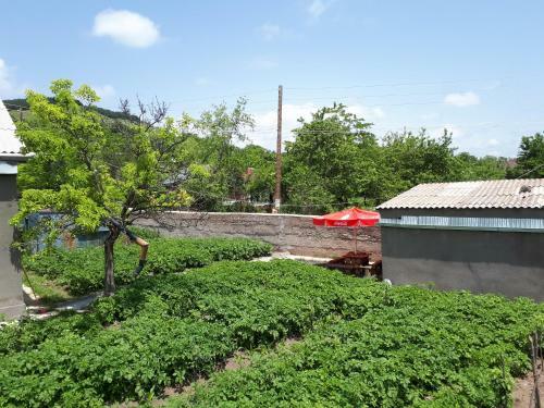 Hostal Tatev Emma B&B