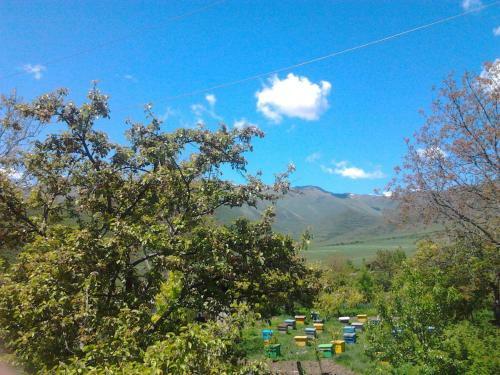 Anush`s B&B