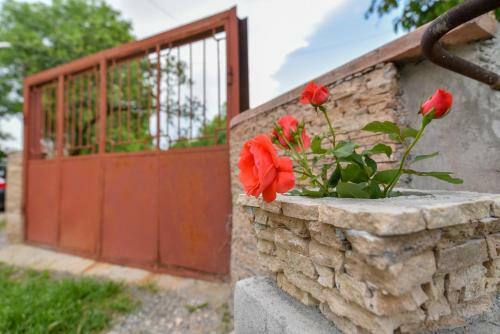 Hostal Holiday Home Ruben