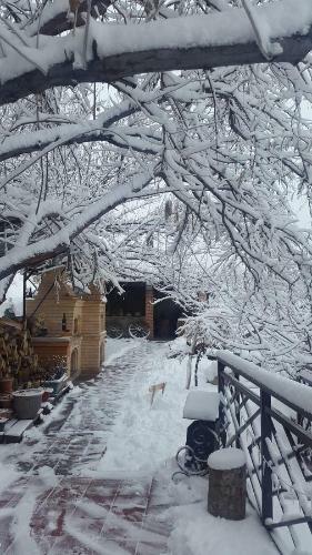Hostal Hyelandz Eco Village Resort