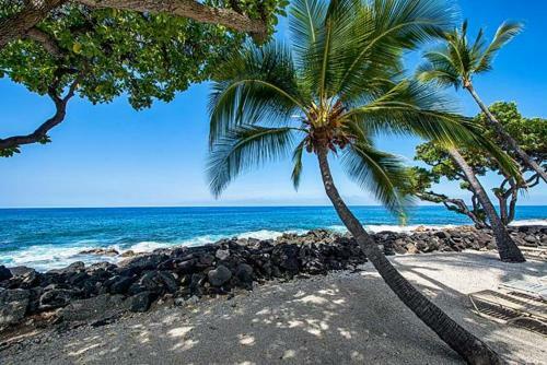 Apartamento Kona Isle E23