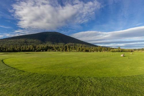 Black Butte Manor Bordering Forest