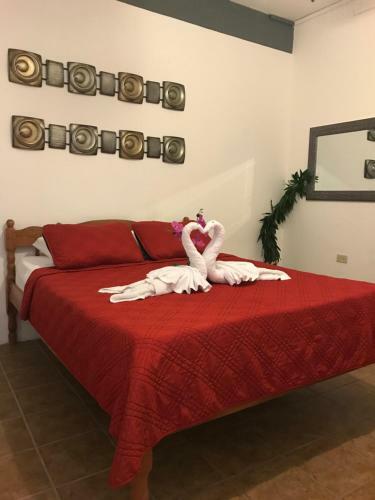 Hostal Bella Sombra Guest House Downtown