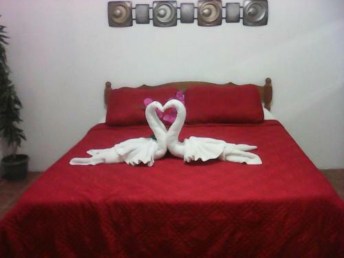 Hostal Bella Sombra Guest House Downtown