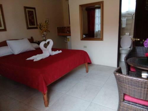 Hostal Bella Sombra Guest House Downtown