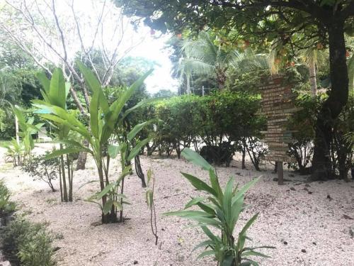 Apartamento Cabinas Windsong