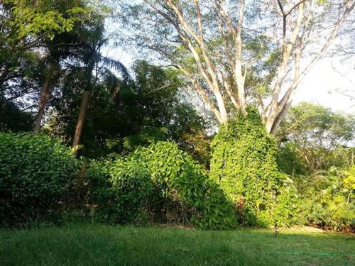Apartamento Cabinas Windsong