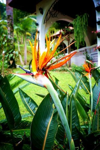 Hotel Rio Perlas