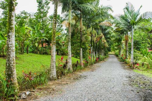 Lodge Cabinas Faro Arenal