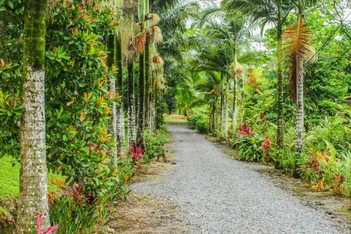 Lodge Cabinas Faro Arenal