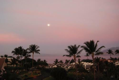 Apartamento Maui Kamaole #j-217 Condo