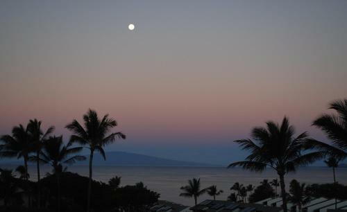 Apartamento Maui Kamaole #j-217 Condo