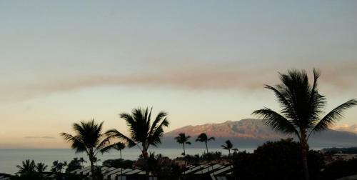 Apartamento Maui Kamaole #j-217 Condo
