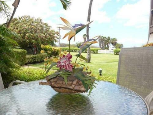 Aparthotel Hale Kamaole By Condominium Rentals Hawaii
