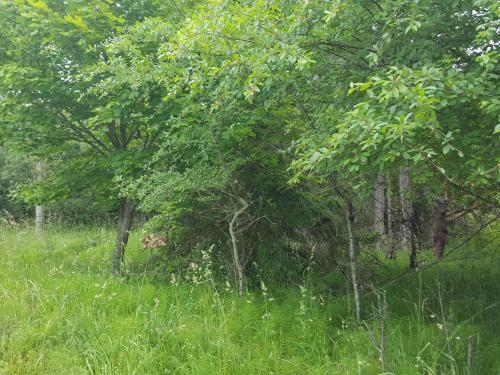 Bed & Breakfast Huber's Inn Port Townsend