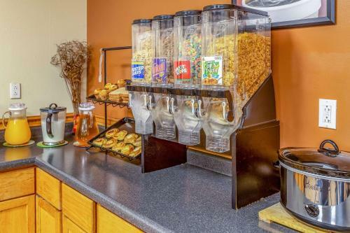 Hotel Econo Lodge Inn & Suites Newton