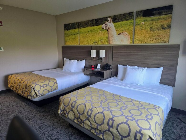 Hotel Baymont Inn And Suites Mattoon