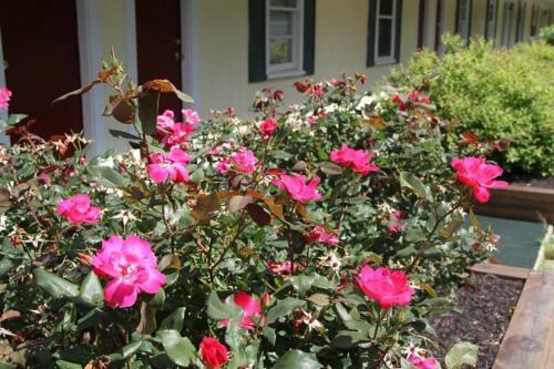 Hotel Lodge At Kennebunk