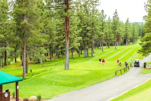 The Ponderosa