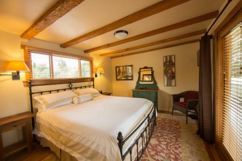 Hotel Blue Iguana Inn