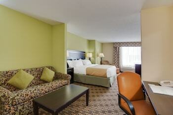 Hotel Holiday Inn Statesboro-university Area